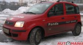 Fiat Panda. Польский медвежонок.